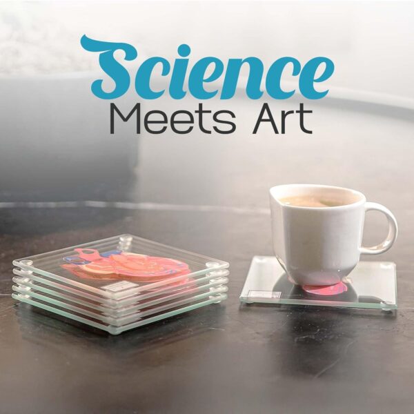 Original Anatomic Heart Coasters Set – Fade-Proof Print – Best - Image 4