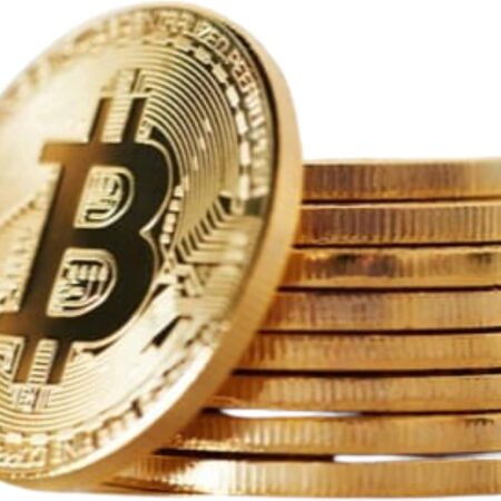 10 Pcs Bitcoin Coin Souvenir with Case, Physical Gold