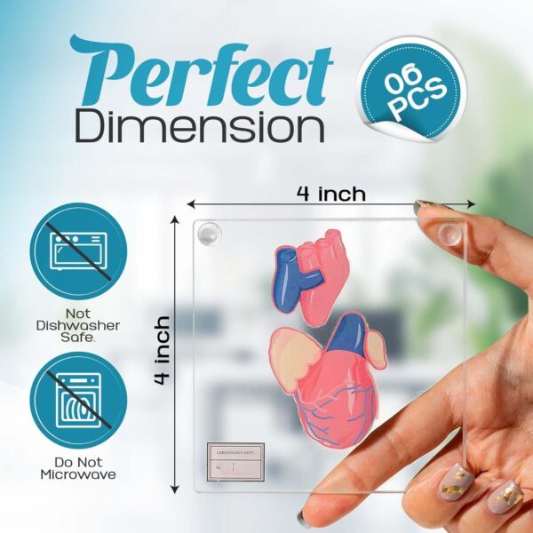 Original Anatomic Heart Coasters Set – Fade-Proof Print – Best - Image 3