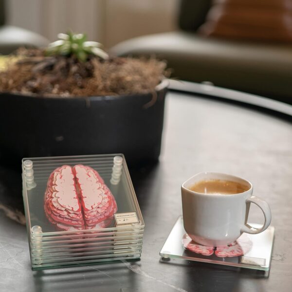 Anatomic Brain Specimen Coasters (Set of 10) - Neuroscience Gifts Best Red - Image 5