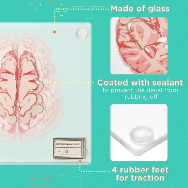 Anatomic Brain Specimen Coasters (Set of 10) - Neuroscience Gifts Best Red - Image 3
